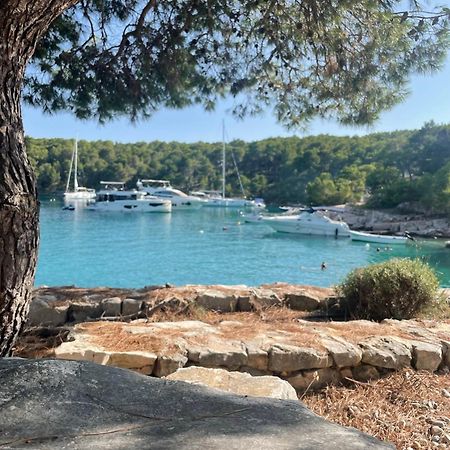 Luxury Villa Kate - In Lucice Bay With Turquoise Sea, Amazing Seaviews, And Heated Pool Milna  Exterior foto